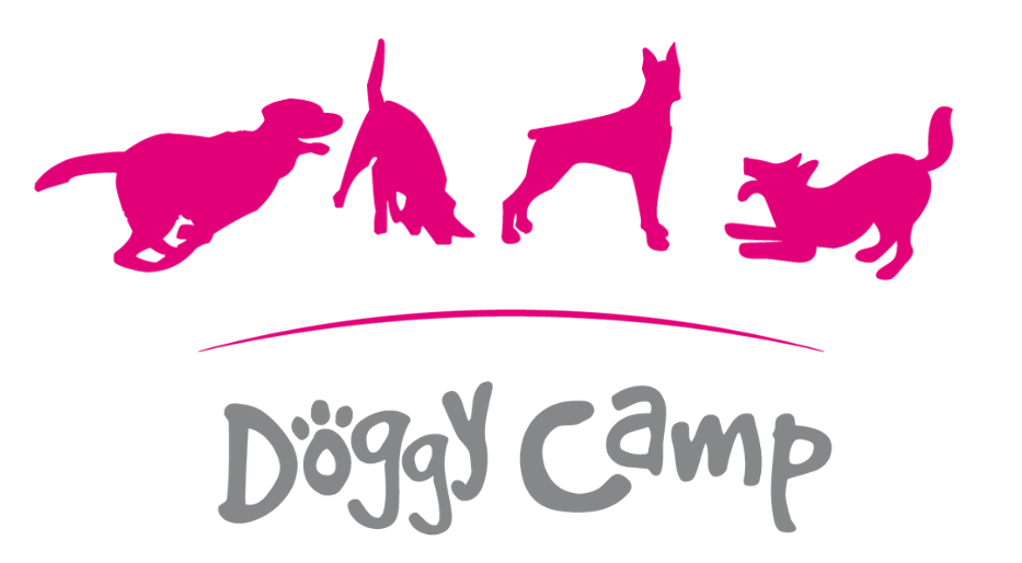 Doggy Camp